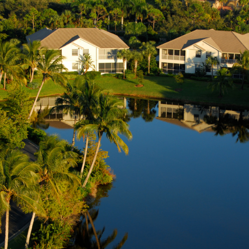 Untitled design - 2024-06-15T145841.157